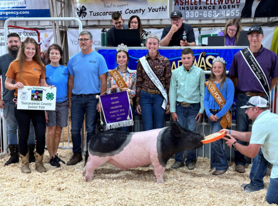 Grand Champion Hog