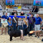 Reserve Champion Hog