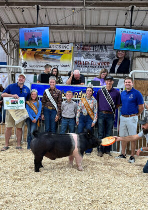 Reserve Champion Hog