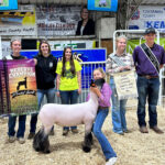 Reserve Champion Lamb
