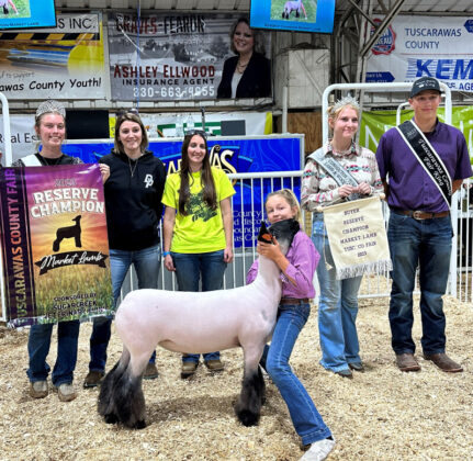 Reserve Champion Lamb