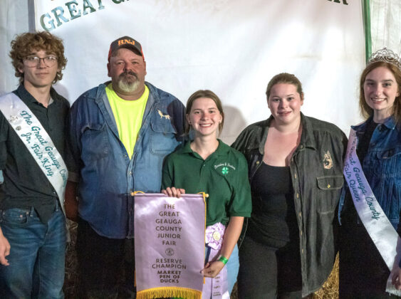 Reserve Champion Market Pen of Ducks