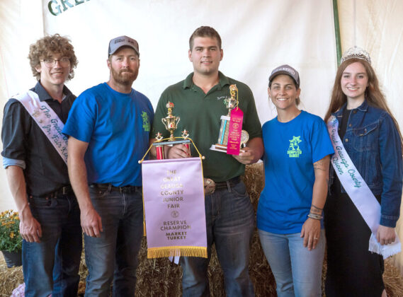 Reserve Champion Market Turkey