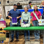 Grand Champion Meat Rabbits