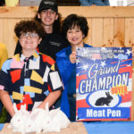 Rabbit Meat pen Gr Ch