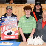 Rabbit meat pen reserve