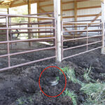 Orphan wells hard to plug, despite influx of federal dollars An orphan well is circled in red near the base of a pole barn.