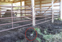 Orphan wells hard to plug, despite influx of federal dollars An orphan well is circled in red near the base of a pole barn.
