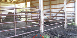 An orphan well is circled in red near the base of a pole barn.