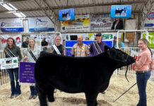 2023 Tuscarawas County Fair sale Grand Champion Steer