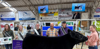 Grand Champion Steer
