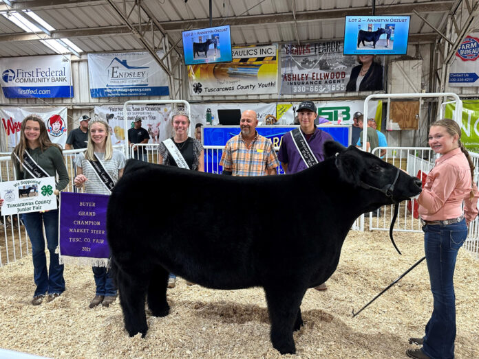 Grand Champion Steer