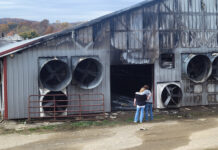 Brunton Dairy loses barn and milk bottling plant in fire Two women with their backs to the camera wrap their arms around each other as they look at a damaged and burned dairy barn.