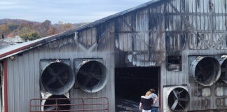 Brunton Dairy loses barn and milk bottling plant in fire Two women with their backs to the camera wrap their arms around each other as they look at a damaged and burned dairy barn.