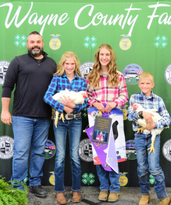 Grand Champion Meat Chicken Pen