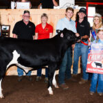 dairy beef feeder reserve