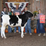 dairy beef feeder reserve krofft