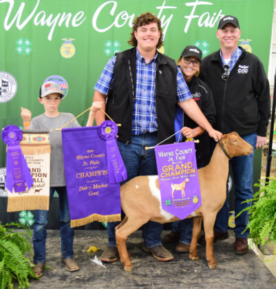 Grand Champion Dairy Market Goat