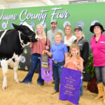 Grand Champion Dairy Steer