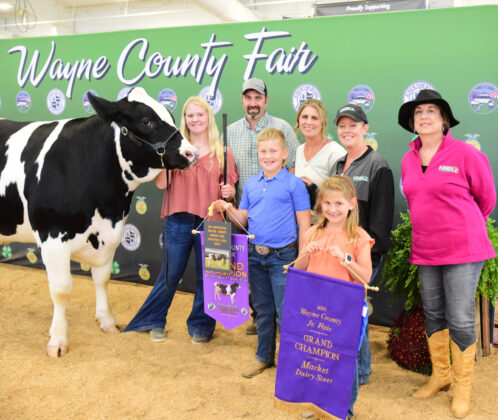 Grand Champion Dairy Steer