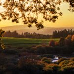 Live in a loving way and show gratitude for each day you are given fall sunset