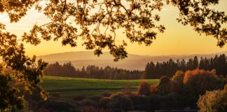 Live each day with gratitude fall sunset