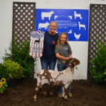 2023 Hookstown Fair Sale results