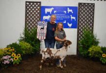 2023 Hookstown Fair Sale results