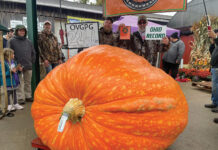 Parks Garden Center to host giant pumpkin growing class Feb. 3 giant pumpkin 2023