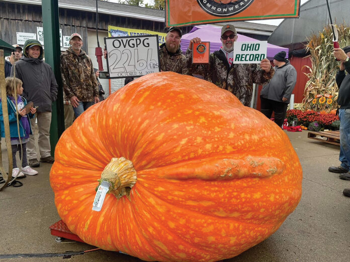 giant pumpkin 2023
