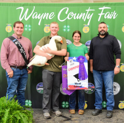 Grand Champion Goose