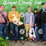 Reserve Champion Goose