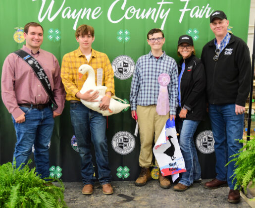 Reserve Champion Goose