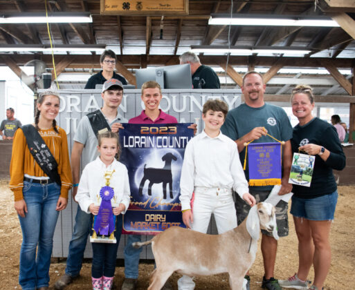 Grand Dairy Market Goat