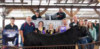 2023 Lorain County Fair sale Grand Lottery Steer