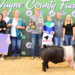 Reserve Champion Hog
