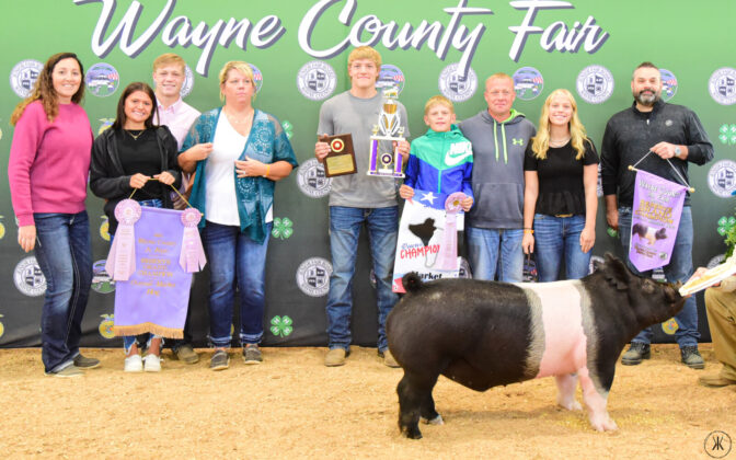 Reserve Champion Hog