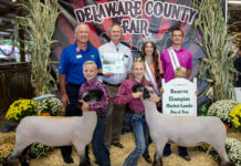 2023 Delaware County Fair Sale