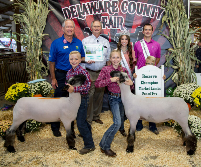 2023 Delaware County Fair Sales