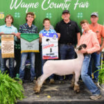 Reserve Champion Lamb