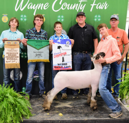 Reserve Champion Lamb