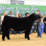 Grand Champion Market Beef