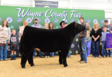 2023 Wayne County Junior Fair sale Grand Champion Market Beef