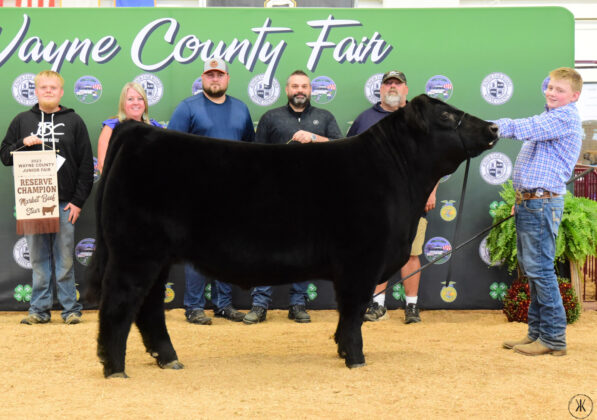 Reserve Champion Market Beef