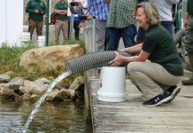 More than 2,000 muskies stocked in Piedmont Lake mertz