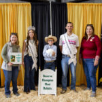 2023 Delaware County Fair Sales