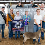 Reserve Dairy Market Goat