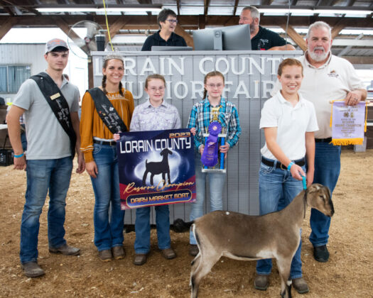 Reserve Dairy Market Goat