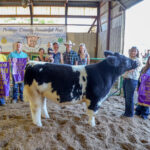 2023 Portage County Randolph Fair Sale results