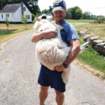 Are ewe pregnant or are you pregnant? Eric Keller and a sheep